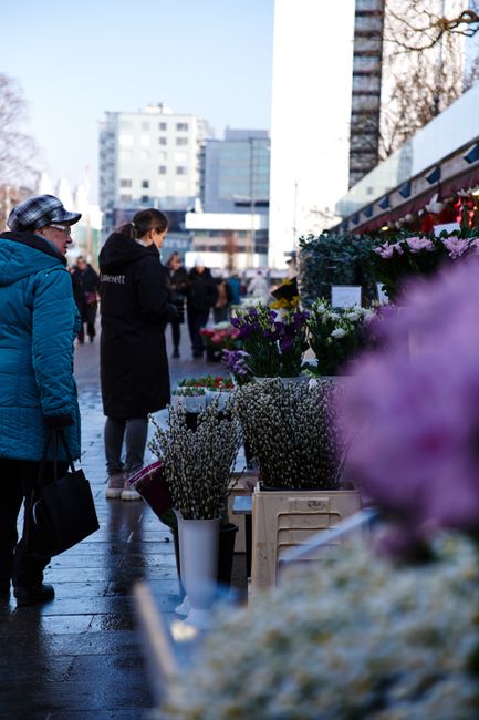 A scene at an outdoor flower market with various floral arrangements and bouquets. In the foreground, there are vases and containers filled with fresh flowers, including white gypsophila, purple lilac