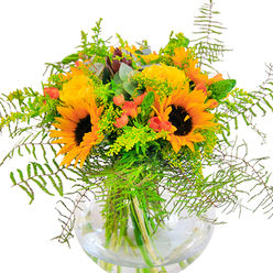 Sunbeam-bright and rich with local character, this opulent bouquet brings together the best of Welwyn's floral abundance. Vibrant sunflowers, their inky centers surrounded by canary-yellow petals, face outward as if greeting the sunlight, echoing the cheerful borders along Welwyn's wooded lanes. Nestled between them, roses in a buttery yellow spiral open in lush, classical fashion, their petals soft to the touch and delicately fragrant. Vivid red hypericum berries, scattered amid the arrangement, gleam like jewels against the tapestry of greens. The supporting foliage is a medley: elegant ferns that cascade gracefully, airy green filler like solidago topped with miniature yellow blooms, slender green floral spikes, and subtle swathes of silvery-blue eucalyptus leaves. The entire arrangement comes together in a clear, fishbowl-like glass vase-a modern touch that highlights the stems within and bathes the bouquet in natural light. Close up or from afar, the textures invite touch and the colours radiate warmth, reminiscent of a summer's afternoon stroll through Welwyn Garden City. The bouquet is both structured and free-spirited, ideal for joyful occasions-birthdays, housewarmings, or heartfelt thanks-where an injection of sunlit happiness is needed. Each element testifies to the skill of Welwyn's florists, who bring a blend of tradition and contemporary flair to the community with every fresh, locally-crafted arrangement.
