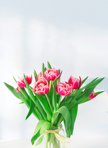 Same day Flowers Welwyn